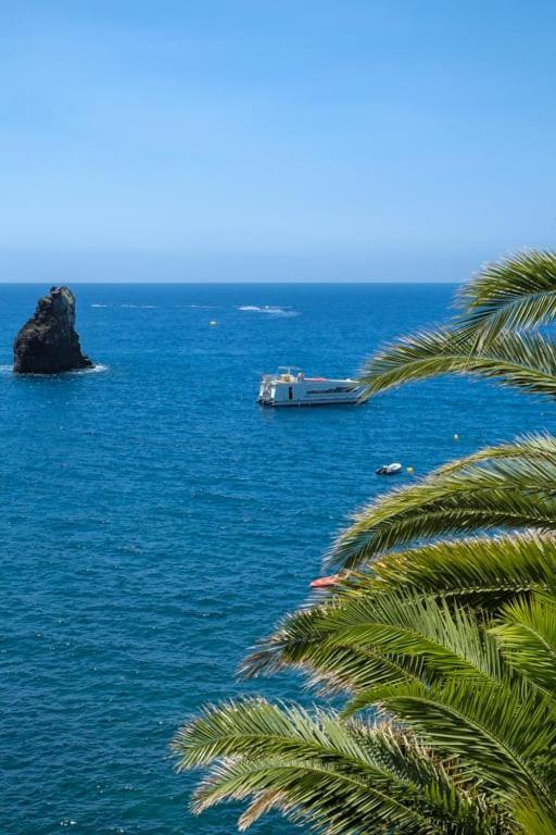 شقة Guestready - A Sunny Delight In Funchal المظهر الخارجي الصورة